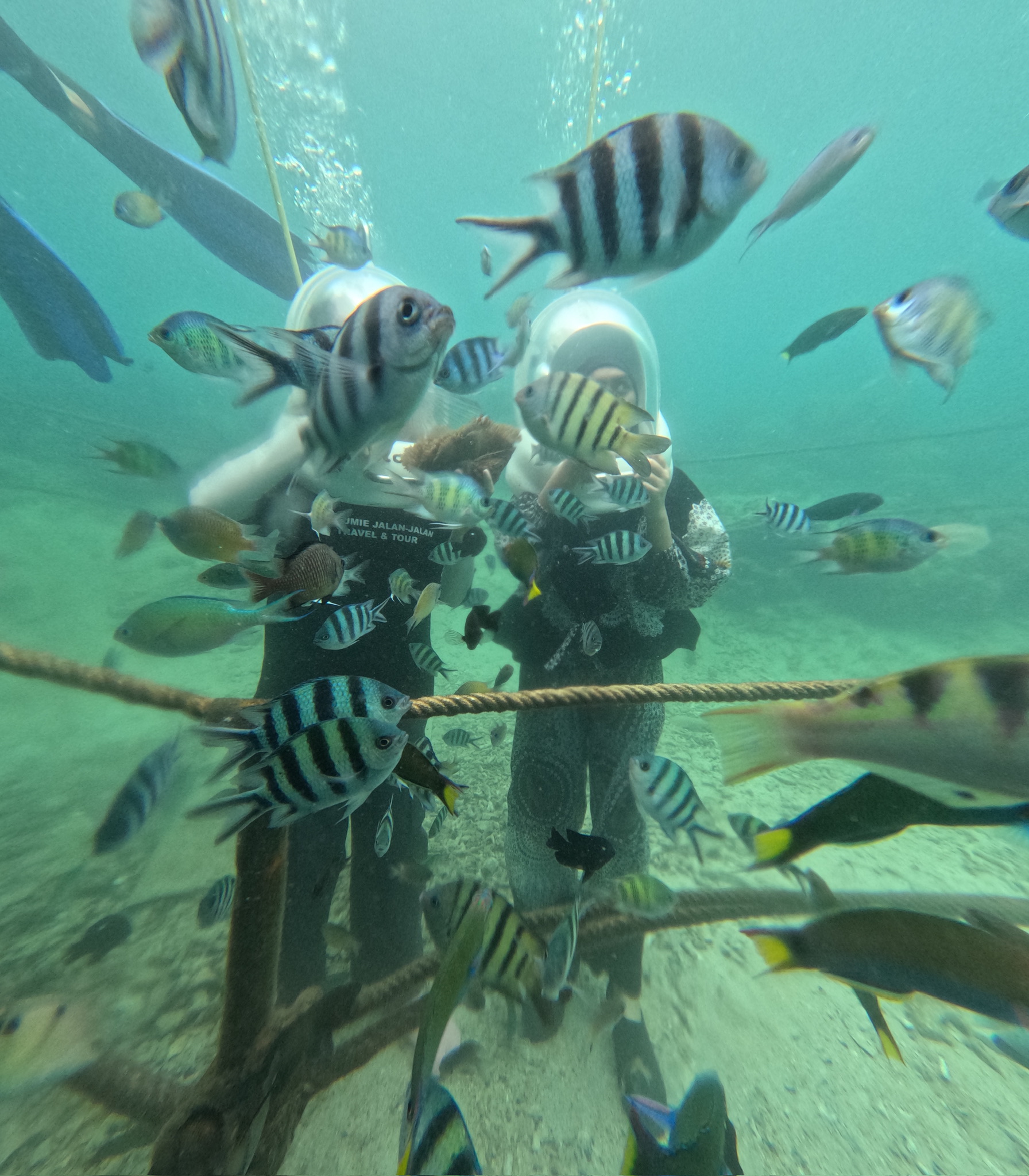 DAY TRIP ISLAND HOPPING KOTA KINABALU